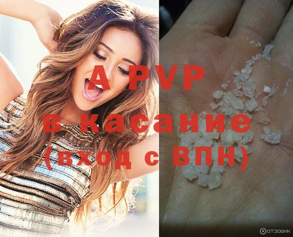 spice Арсеньев