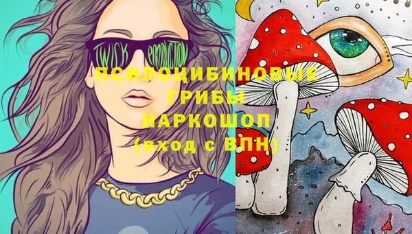 spice Арсеньев