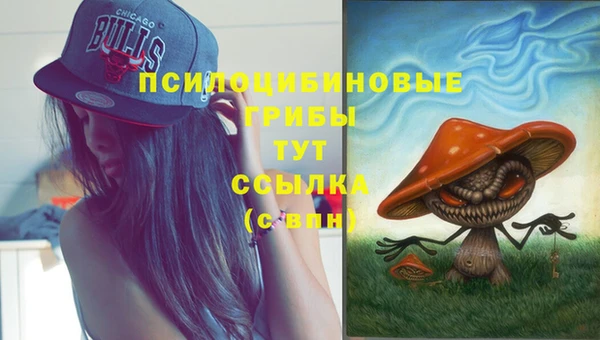 дживик Армянск