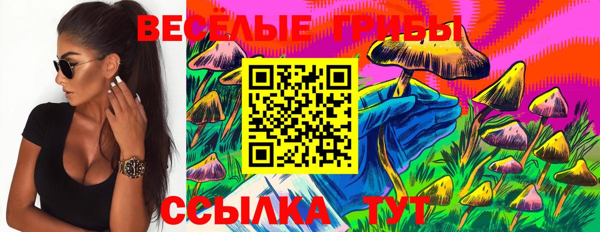 Псилоцибиновые грибы GOLDEN TEACHER Спасск-Дальний